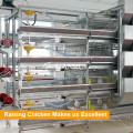 Pullet Farm Battery Cage Automatische Pullet Ausrüstung